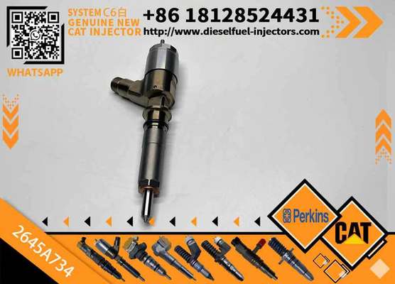 Engine Common Rail Injector for CAT Perkins 2645A734 2645A731 2645A733 2645A735 2645A743 2645A745
