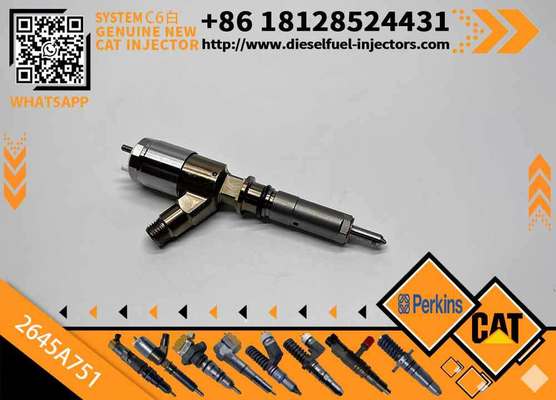 Common Rail Injector 320-0655 3200655 2645A751 Diesel Fuel Injector 2645A751 for C-A-T C6.6 Engine Excavator