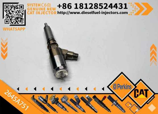 Common Rail Injector 320-0655 3200655 2645A751 Diesel Fuel Injector 2645A751 for C-A-T C6.6 Engine Excavator