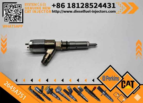 Common Rail Injector 320-0655 3200655 2645A751 Diesel Fuel Injector 2645A751 for C-A-T C6.6 Engine Excavator