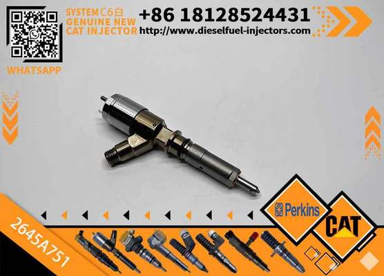 Common Rail Injector 320-0655 3200655 2645A751 Diesel Fuel Injector 2645A751 for C-A-T C6.6 Engine Excavator
