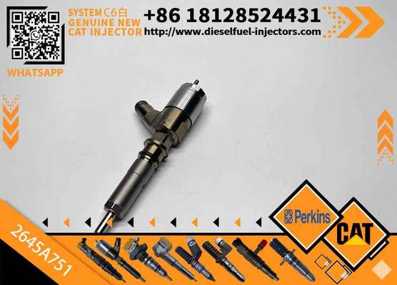 Common Rail Injector 320-0655 3200655 2645A751 Diesel Fuel Injector 2645A751 for C-A-T C6.6 Engine Excavator