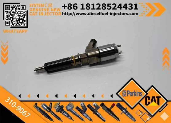 310-9067 3109067 Common Rail Diesel Fuel Injector Assembly for Caterpillar CAT C6.6 Engine