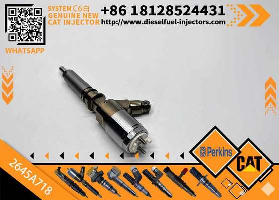 High Quality New Fuel System Parts Diesel Fuel Injector 2645A718 for Diesel Engine