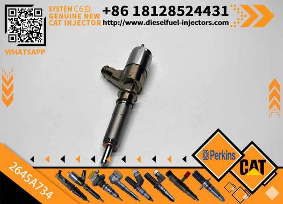 Engine Common Rail Injector for CAT Perkins 2645A734 2645A731 2645A733 2645A735 2645A743 2645A745