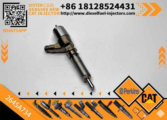 Engine Common Rail Injector for CAT Perkins 2645A734 2645A731 2645A733 2645A735 2645A743 2645A745