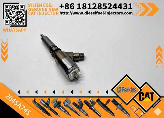 High Quality New Fuel System Parts Diesel Fuel Injector 306-9380 2645A745 for Diesel Engine