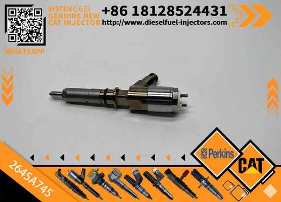 High Quality New Fuel System Parts Diesel Fuel Injector 306-9380 2645A745 for Diesel Engine