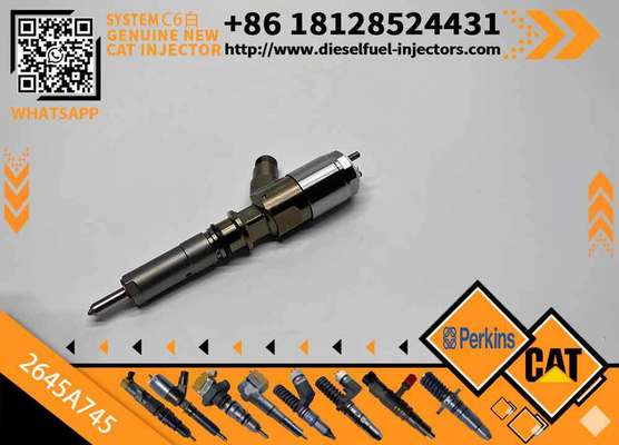 High Quality New Fuel System Parts Diesel Fuel Injector 306-9380 2645A745 for Diesel Engine