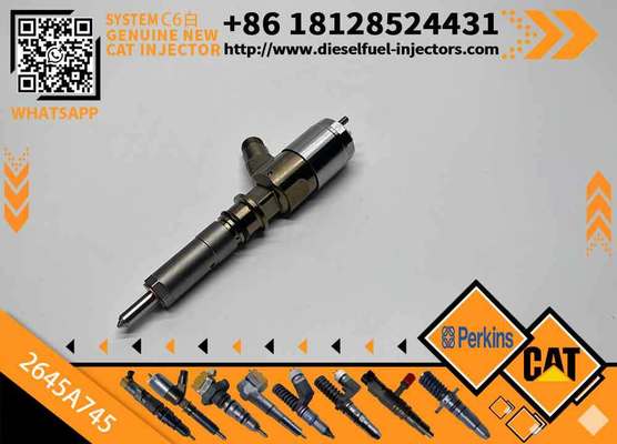 High Quality New Fuel System Parts Diesel Fuel Injector 306-9380 2645A745 for Diesel Engine