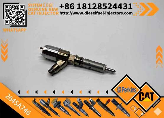 High Quality New Fuel System Parts Diesel Fuel Injector 3200677 320-0677 2645A746 for Diesel Engine
