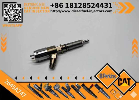 High Quality New Diesel Common Rail Fuel Injector 2645A747 2645a747 for CAT C6.6 Engine 323D Excavator